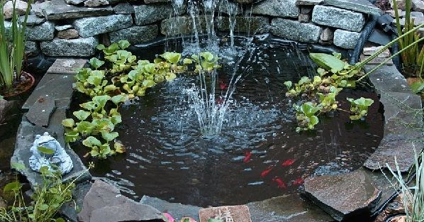 Skema dan Bentuk Kolam Koi Berdasarkan Lokasi Minimalis