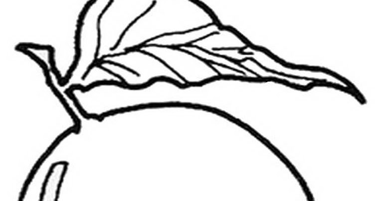 gambar mewarnai mangga muda