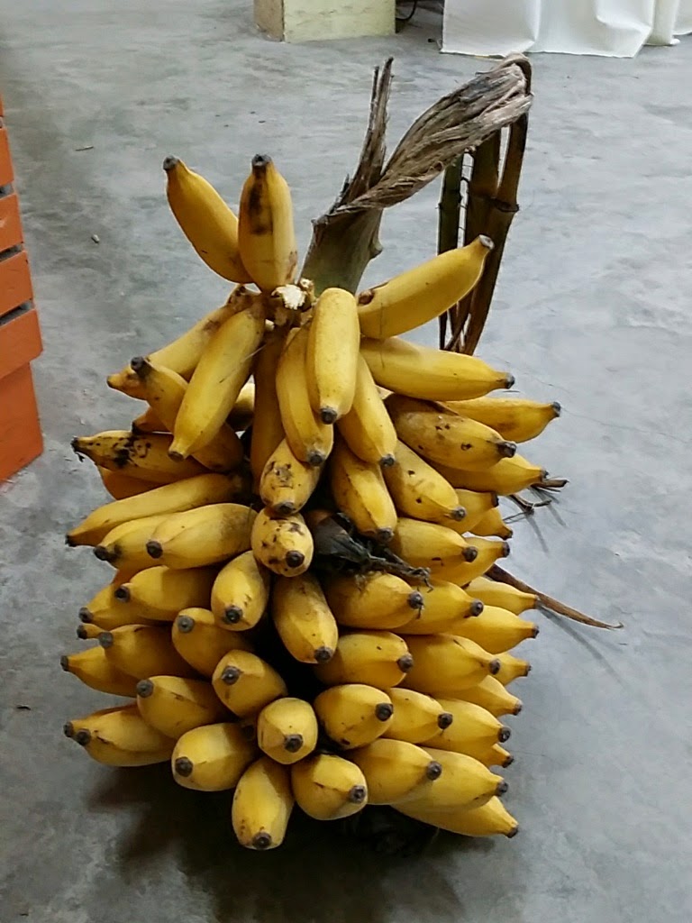 Xing Fu: PISANG KELAT KELING