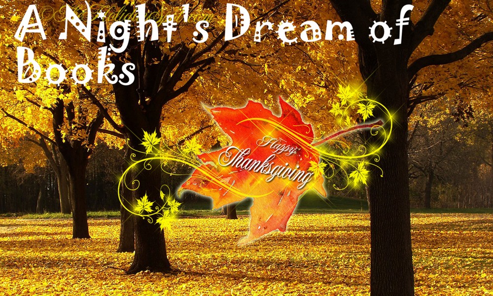A Night's Dream of Books