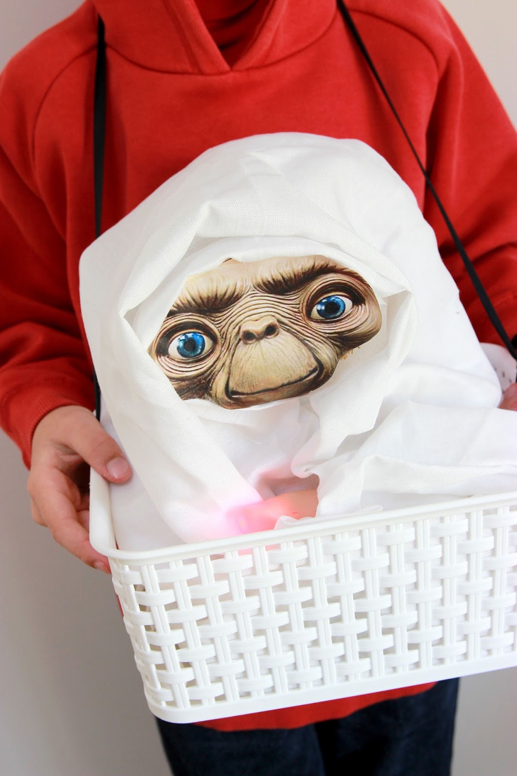 Sabrina Des Bois: Diy- Déguisement E-T L'extra Terrestre