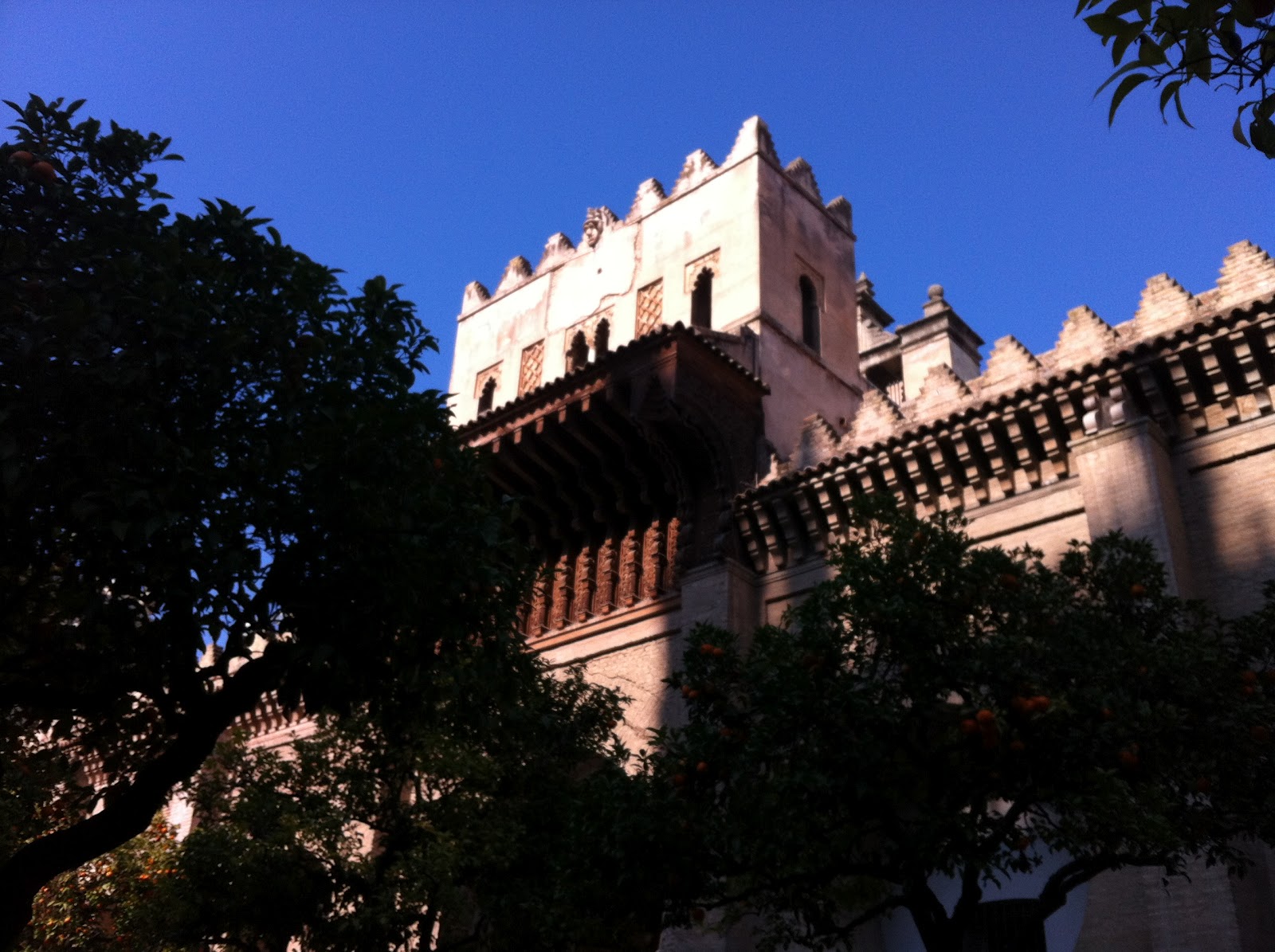 Oranges and Sunshine A Little Further North