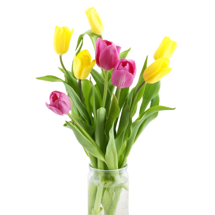 tulipanes-de-colores-en-un-florero-Bouquet+of+yellow+and+pink+tulips+in ...