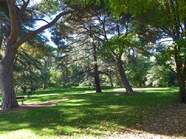 Vista del parque