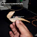 Pipa Rokok Fosil AKAR BAHAR PUTIH Ukir Burung 1 by: IMDA Handicraft Kerajinan Khas Desa TUTUL Jember