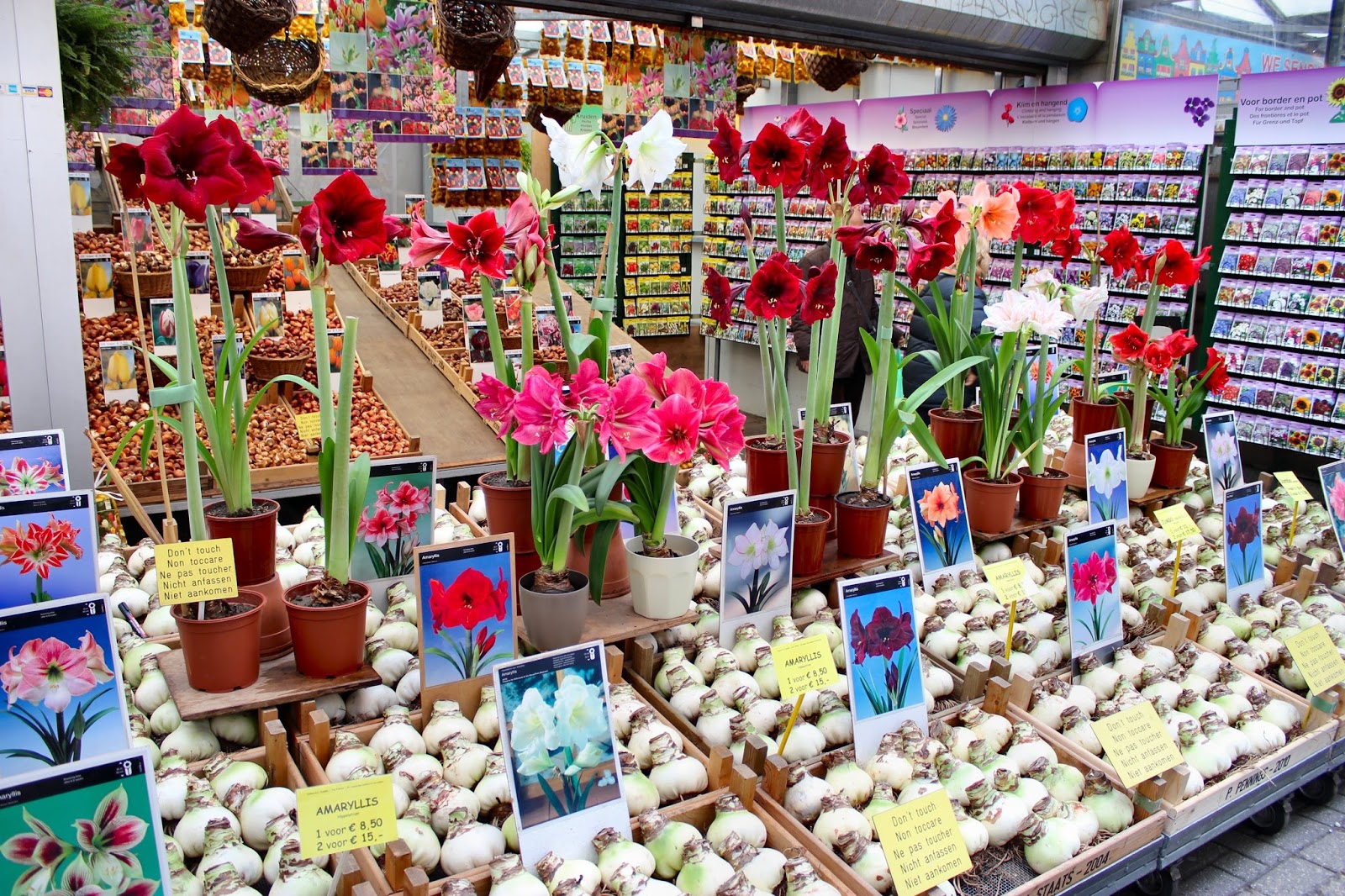 http://3.bp.blogspot.com/-X_tBsycBz2c/VfAVWQ8T4HI/AAAAAAAAFPQ/cJChblOWsxg/s1600/amsterdam-bloemen-market-stall-2.jpg