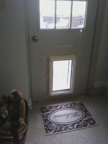 customer reviews for electronic dog door excellent door good security