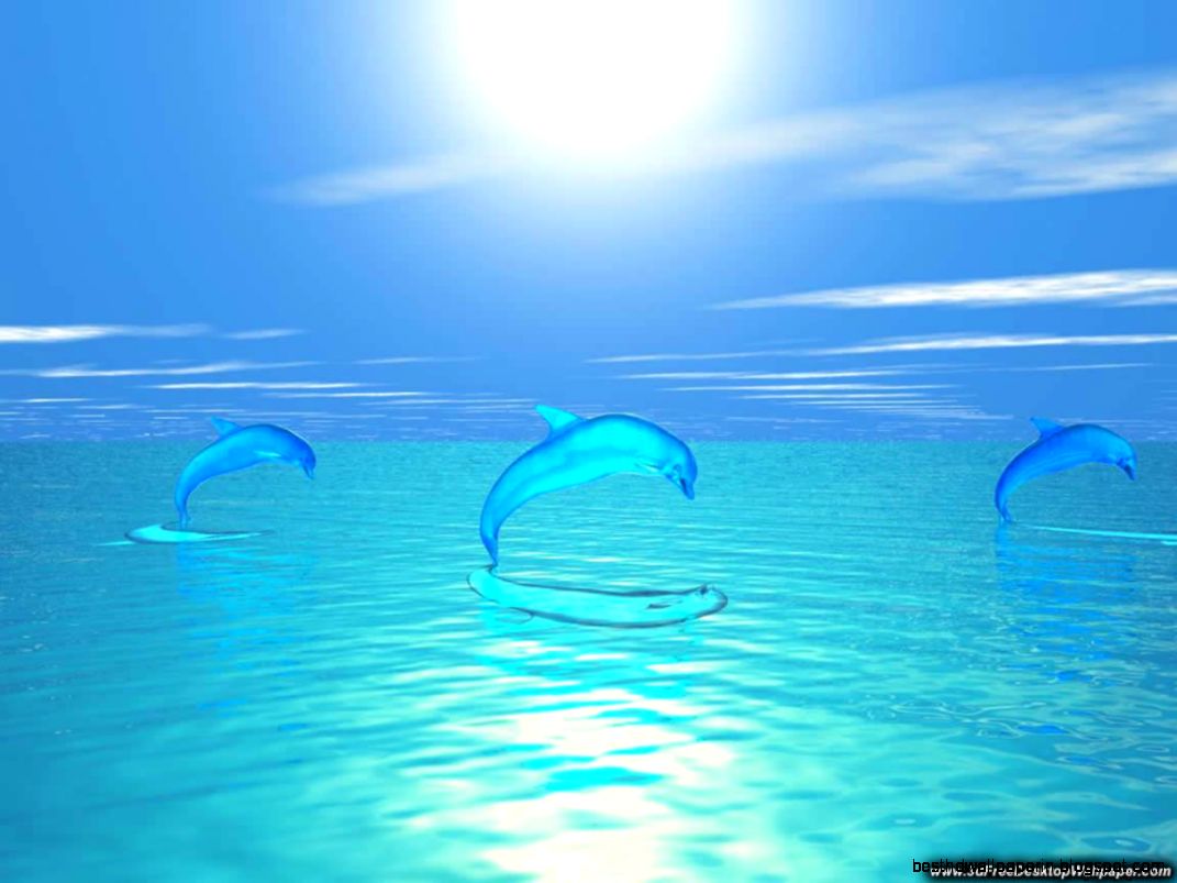 Computer Desktop Backgrounds Free   Wallpapers High Definition