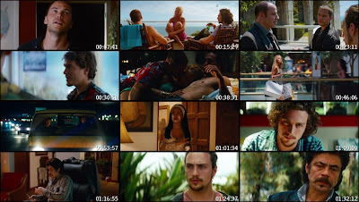 Savages (2012) UNRATED BluRay 720p 900Mb Free Movies