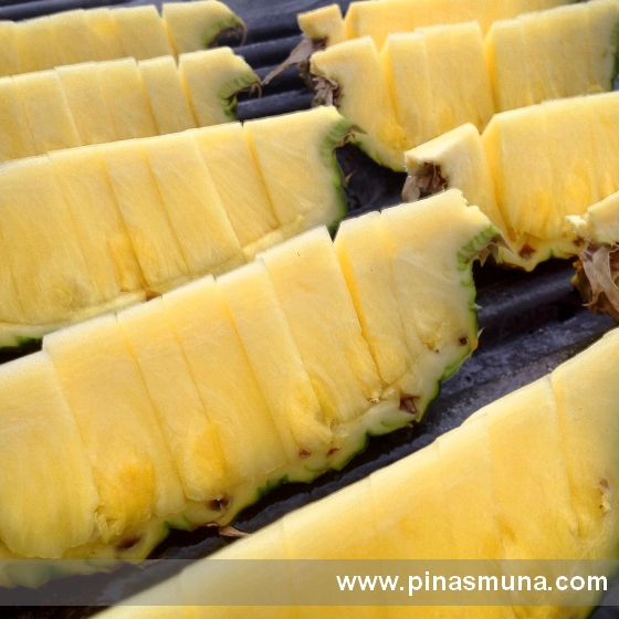 Dole Philippines Pineapple Plantation in Polomolok, South Cotabato