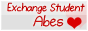 A.B.E.S alleanza blog exchange student