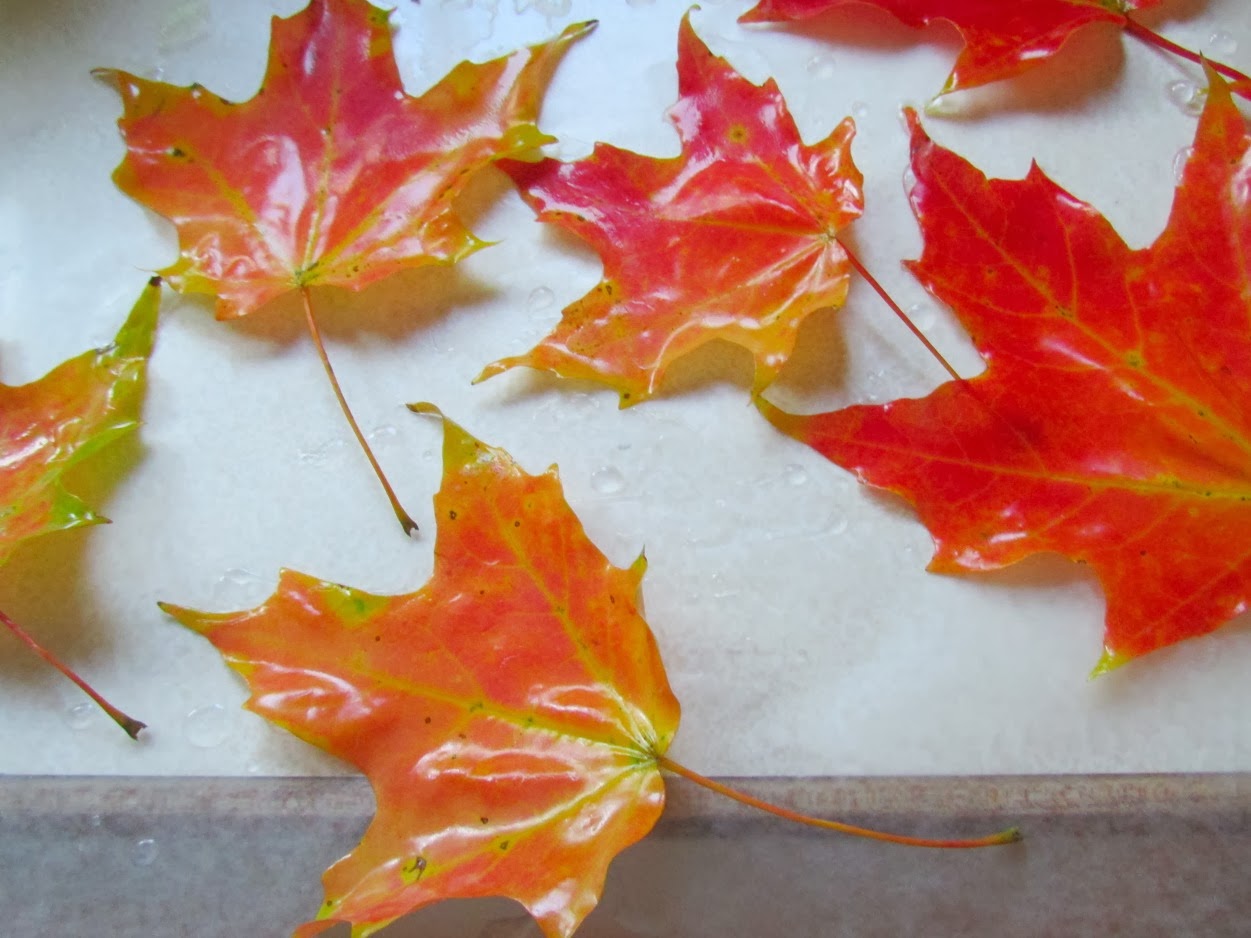 How to Make Soap Leaves for FUN!! Crafts a la mode