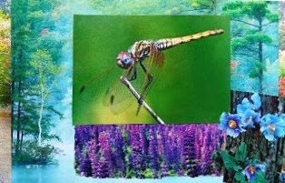 Wisdom of Dragonfly - (7th Chakra)