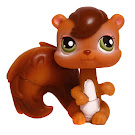 Littlest Pet Shop Pet Pairs Squirrel (#195) Pet