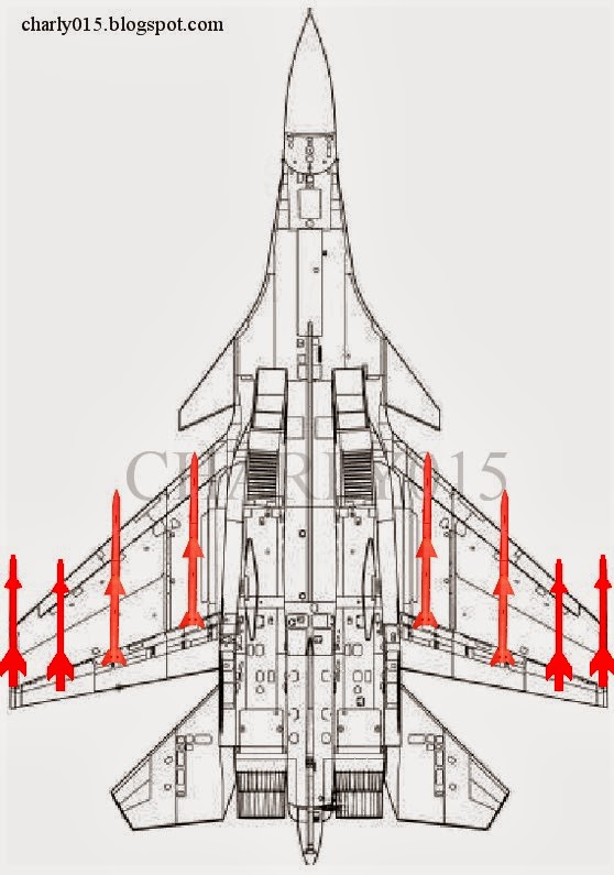 su-33+plano+pl-12+pl-8.jpg