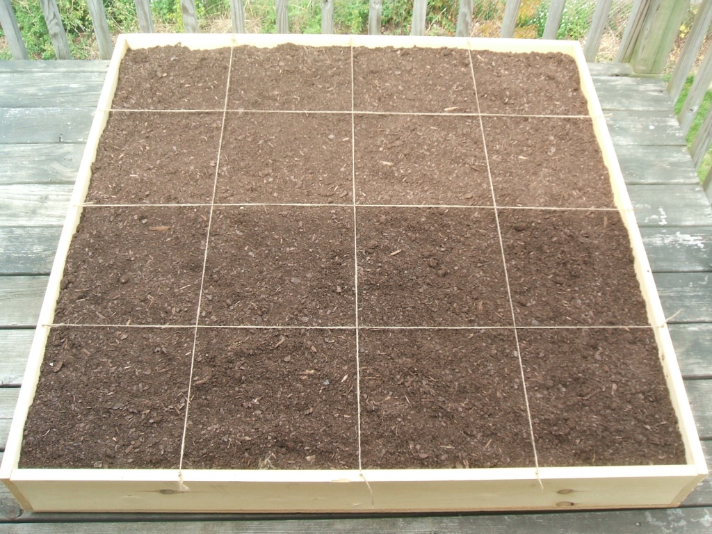 The Homestead Laboratory Square Foot Gardening on a Deck