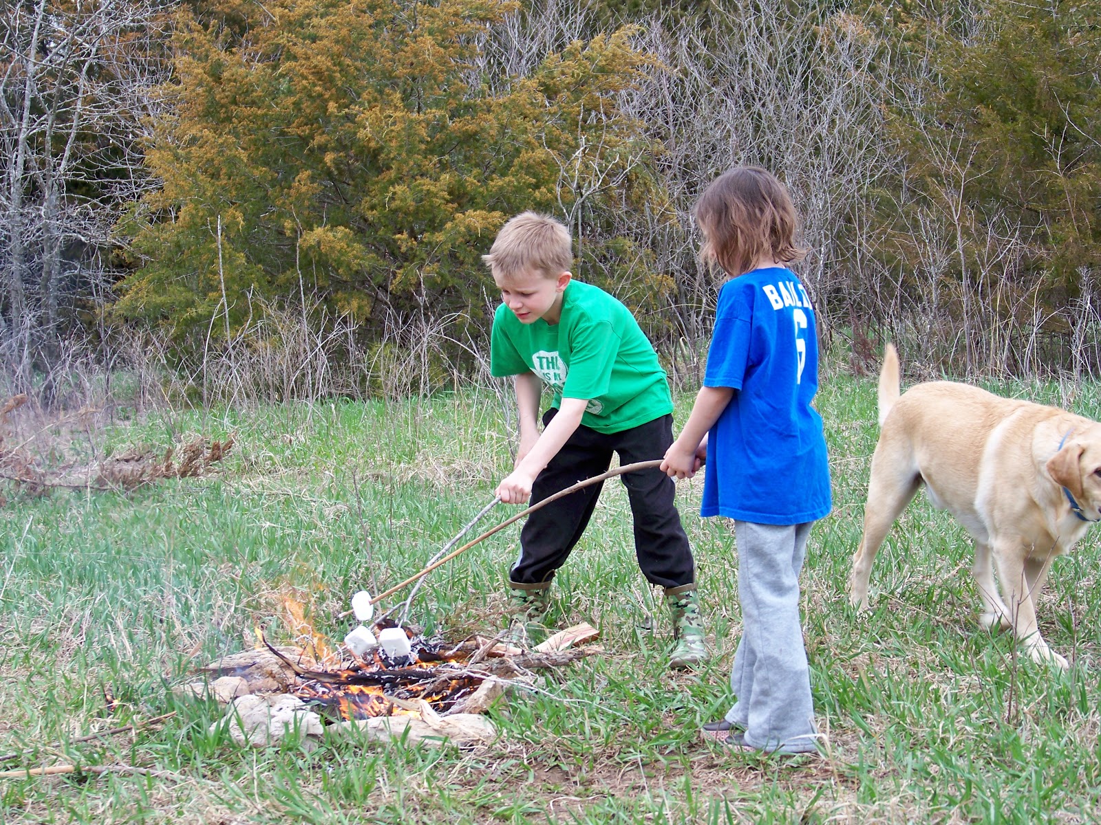 Madden Family Land Madden