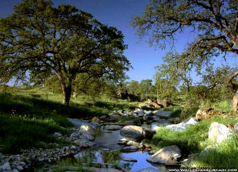 California Beautiful Nature