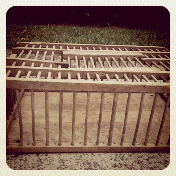 this happy life chicken crate