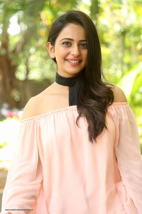 Rakul Preet Singh at Jaya Janaki Nayaka Success Meet