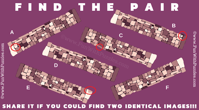 Answer of Find the Pair Hard Picture Riddle Spot the Match: Challenging Brick Pair Puzzle Answer