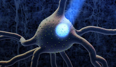 Optogenetica - Illuminare i neuroni