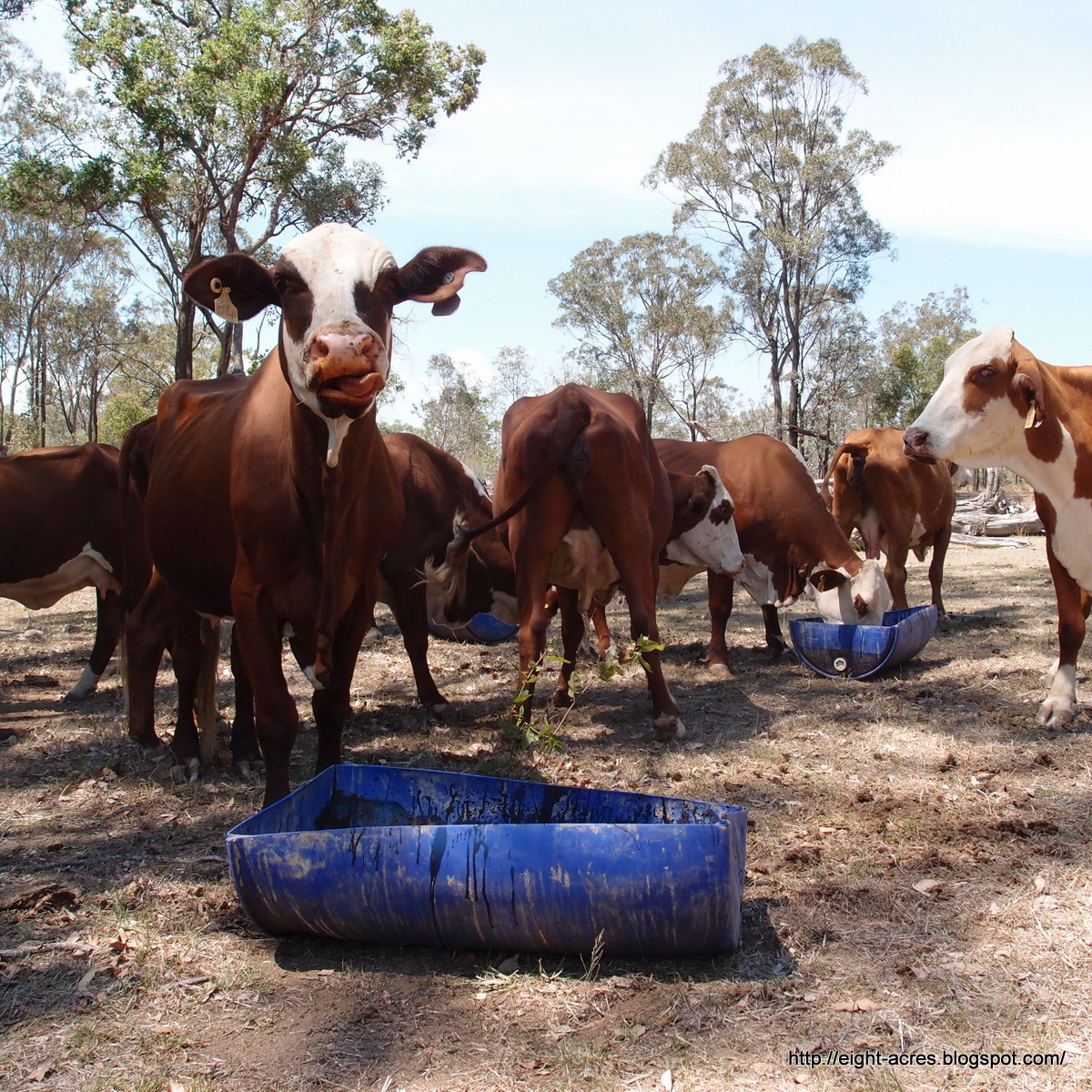 eight acres: who is a farmer?