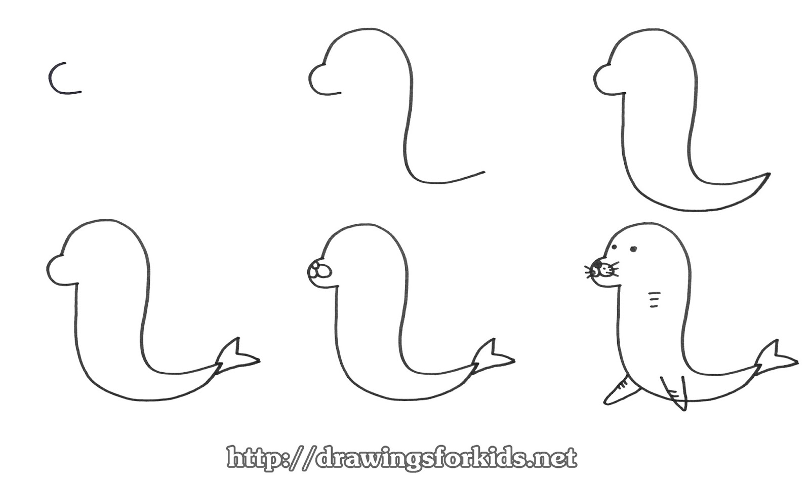 How to draw a Seals for kids