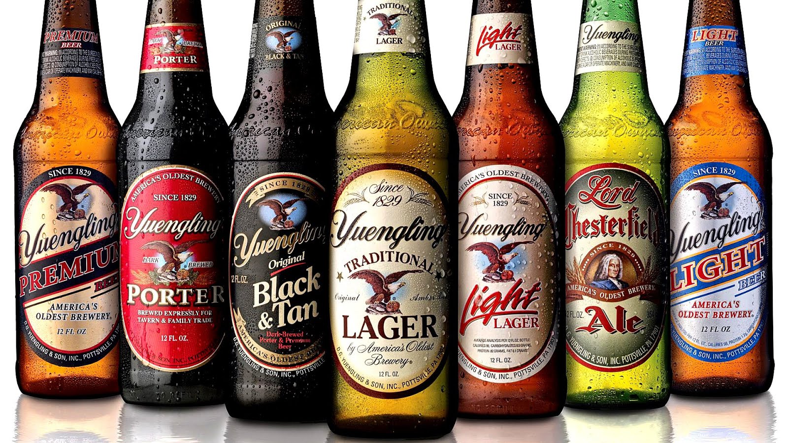 Top 10 American Beers - American Choices