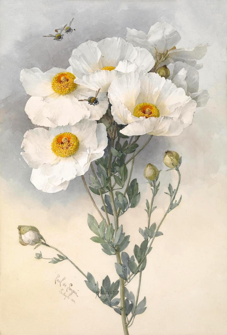 Paul de Longpre 1855-1911 - French-born American painter - Tutt'Art@ Paul de Longpre 1855-1911 - French-born American painter - Tutt'Art@