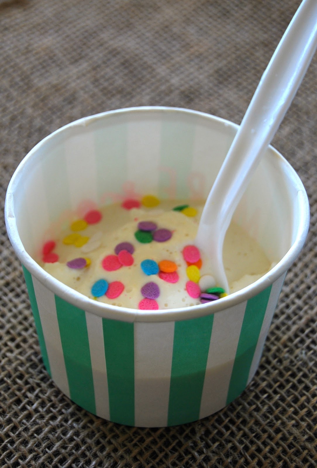 Ice Cream in a Bag "Science" recipe The Crafting Chicks