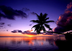 tropical sunset inspired island wallpapers