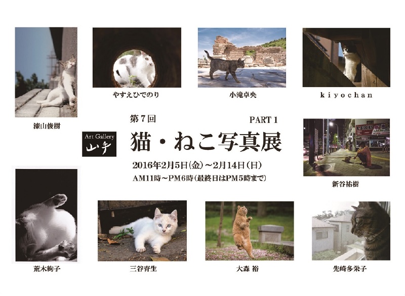 東京猫色 猫 ねこ写真展のお知らせ