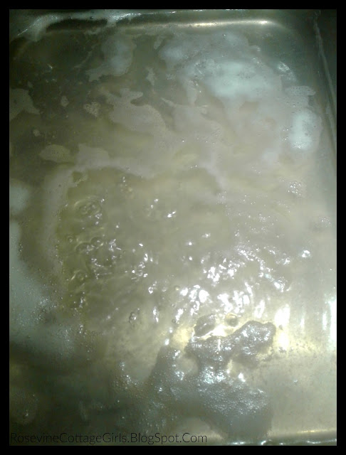 maple sap begining to boil
