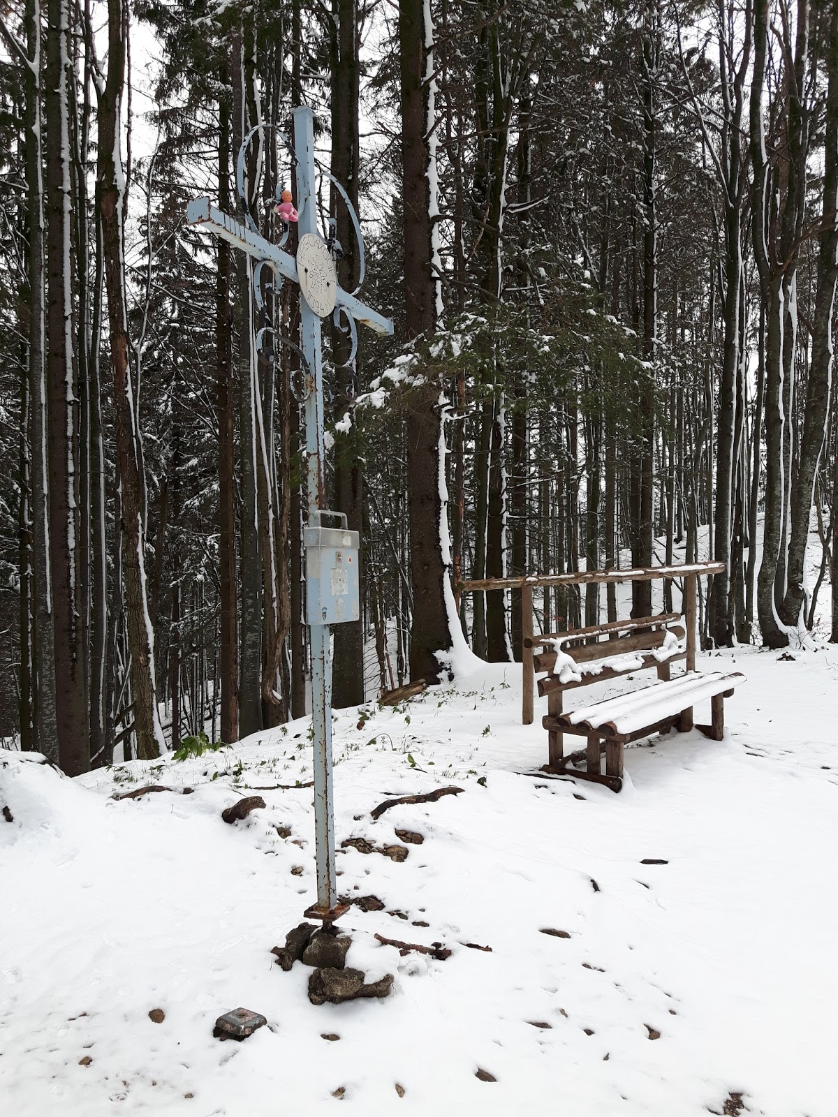 Pauli's Bergerlebnisse Forsteralm