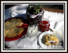 Coffeehouse Scones and Strawberry Rhubarb Jam