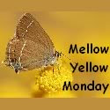 Mellow Yellow Monday