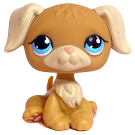 Littlest Pet Shop Large Playset Retriever (#788) Pet