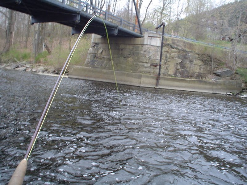 to the Millers River Fly Fishing Forum The Millers River