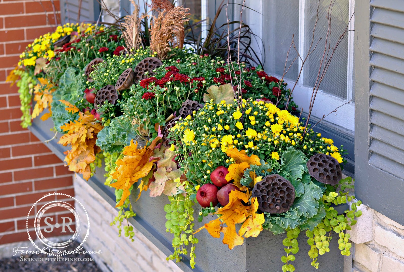 Harvest Magnolia Window Box Filler | atelier-yuwa.ciao.jp