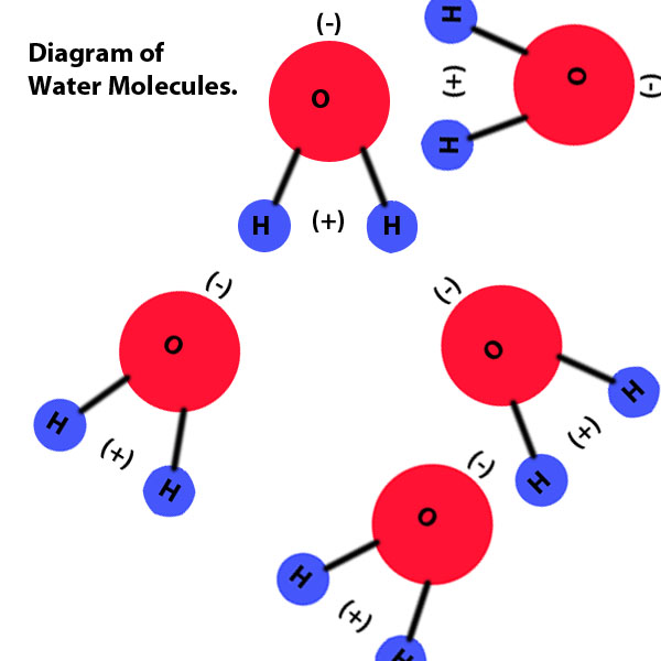 Phil Sheehan's Chemistry Blog Lab 3.1 Modeling Molecules