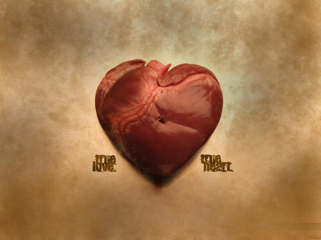 Muhammad Nouman Ali sheroz Awais iqbal Talha Mohsin Riaz: true love