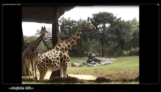 23+ Rumah Panggung Prigen Pics