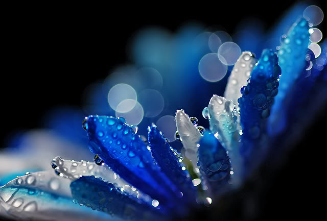 Colori Primari Blu Ciano