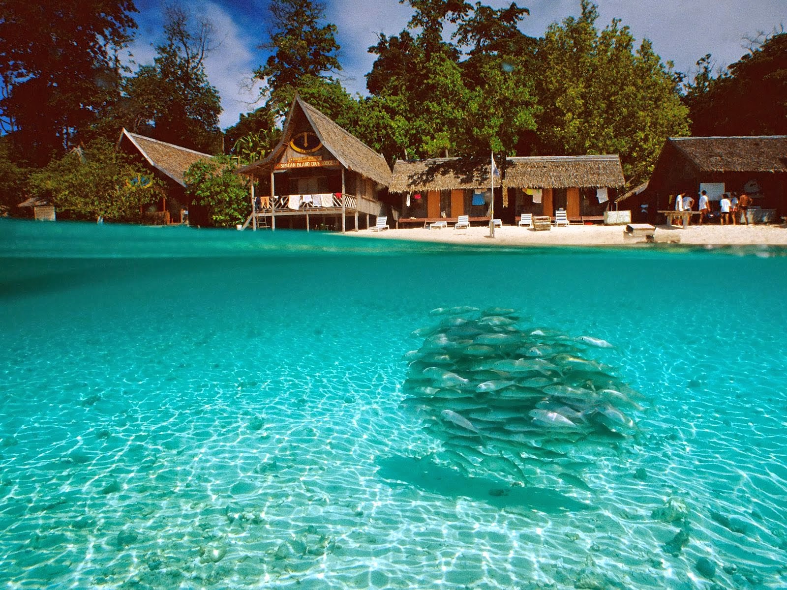 Best Places To Go Scuba Diving On Earth | Sipandan Island In Malaysia Best Places To Go Scuba Diving On Earth | Sipandan Island In Malaysia
