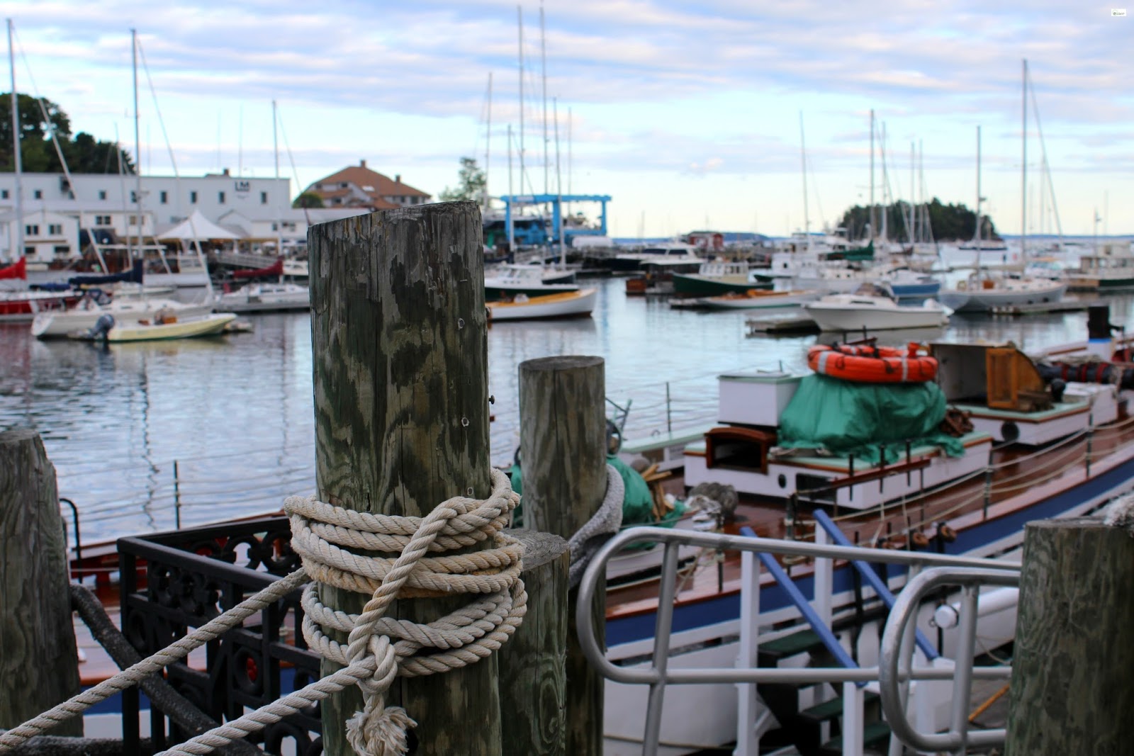 Maine Schooner Olad Sunset Cruise // Camden, Maine Caravan