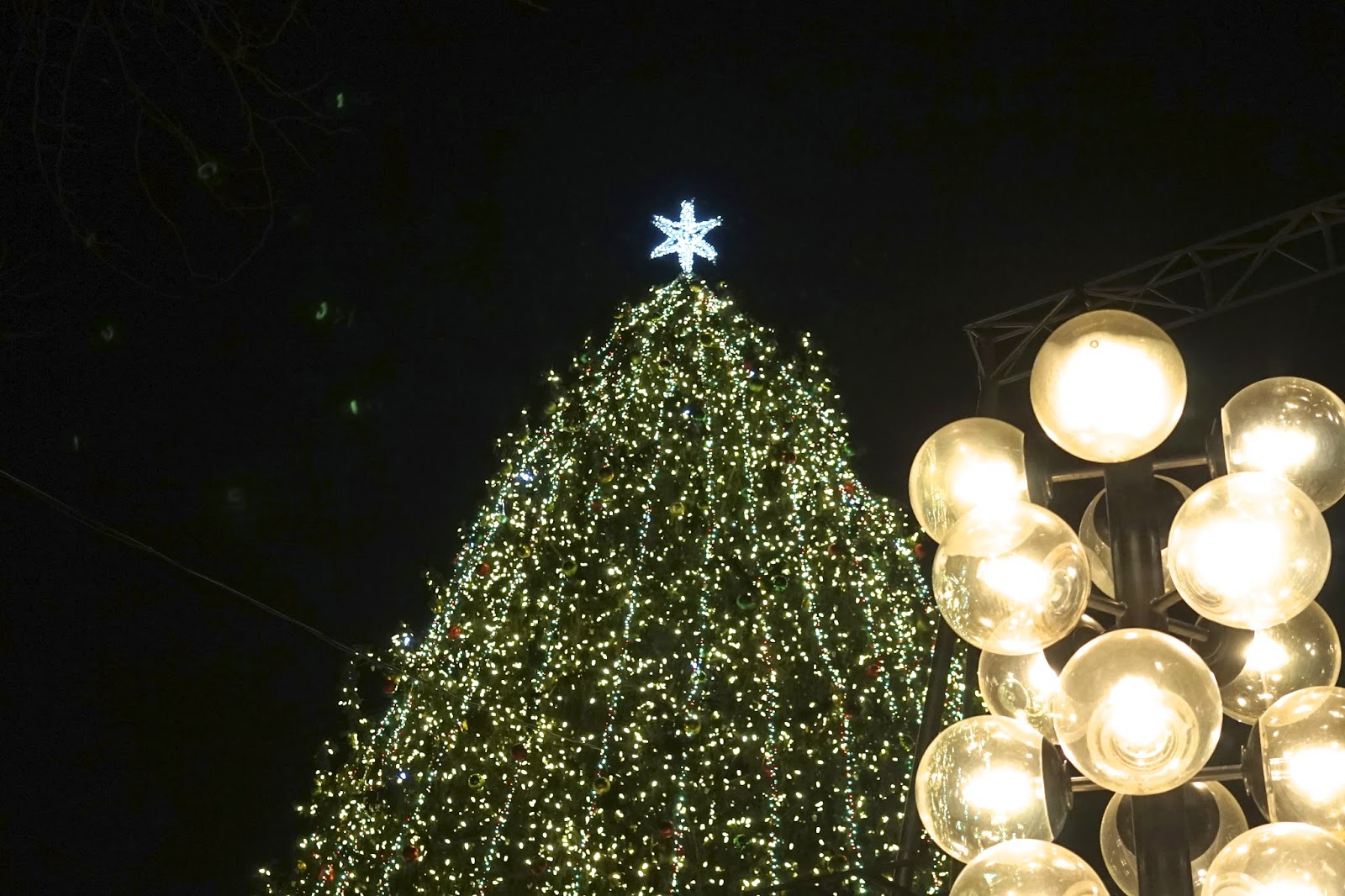 christmas lights boston