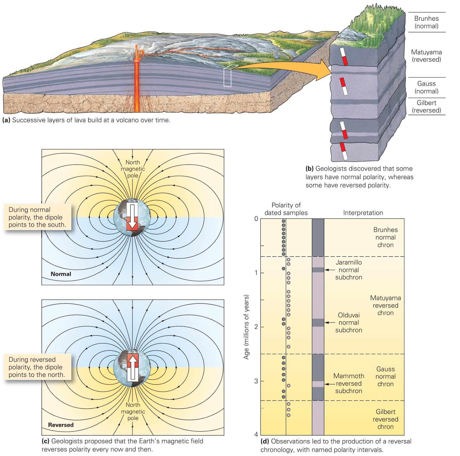 magnetic reversal mid ocean ridges