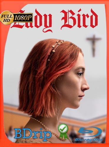 Lady Bird (2017) BDRIP 1080p Latino [GoogleDrive] SXGO
