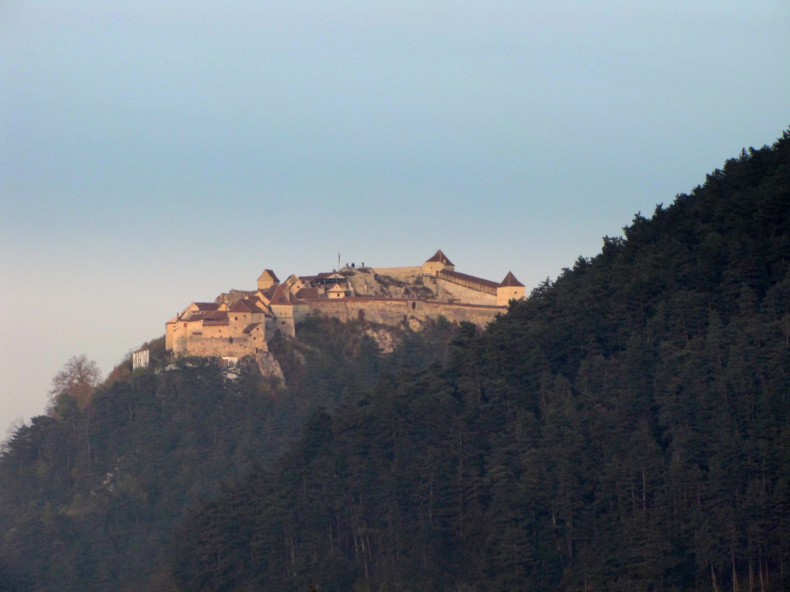 Hobby De Mamica Photo Responsabilitate Sociala Si Altele 